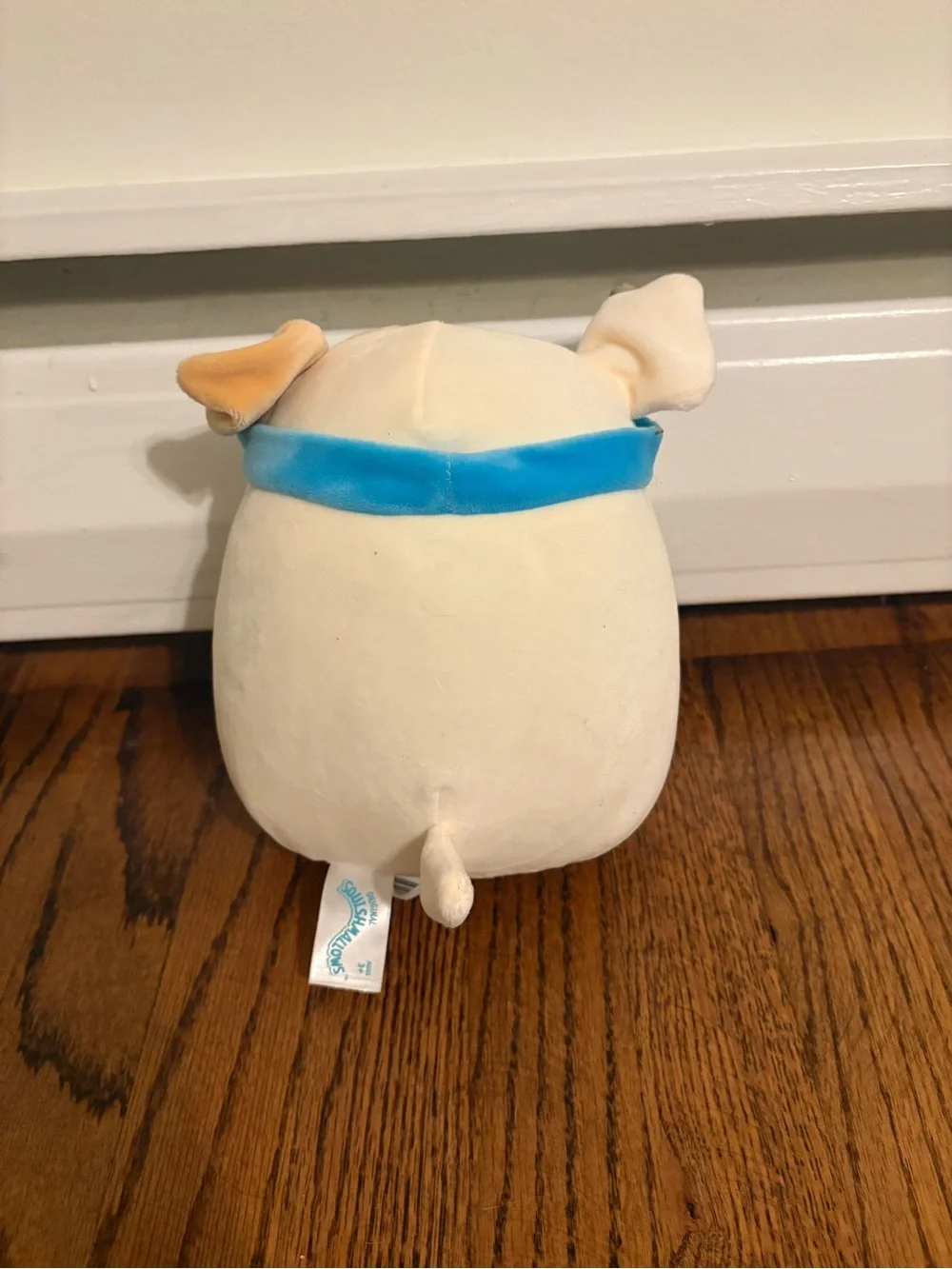 Lot of 2: Wellness Squad Squishmallows